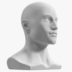 3D model Styrofoam Male Mannequin Head White