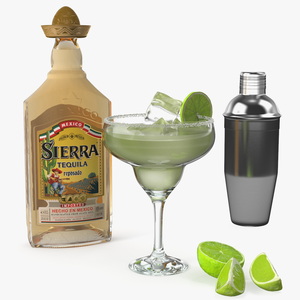 3D Margarita Cocktail Glass with Bottle