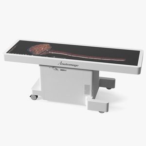 3D Horizontal Interactive Table with Display The Brain Device model