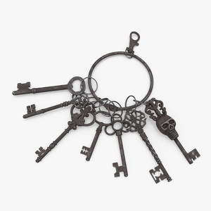 3D model Skeleton Keys Bunch Steel