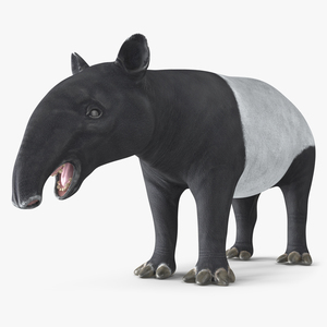 3D Tapir Rigged for Modo