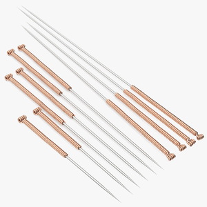 3D Acupuncture Needles Set Gold model