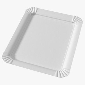 White Rectangle Paper Plate 3D