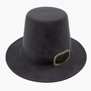 3D Pilgrim Hat