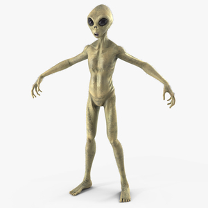 Humanoid Alien Creature Fur 3D