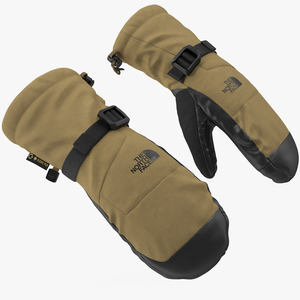 3D The North Face Mens Montana Etip GTX Mitten Gloves Beige