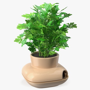 3D Parsley in Single Herb Pot Sagaform Beige