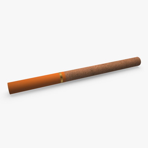 3D model Filtered Small Cigar