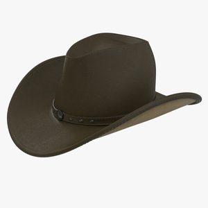 Cowboy Hat 2 3D