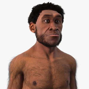 Homo Erectus with Spear Fur 3D