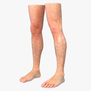 3D model Realistic Human Male Legs