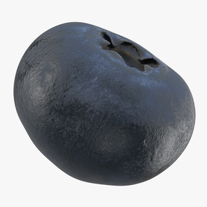 Blueberry 3D model