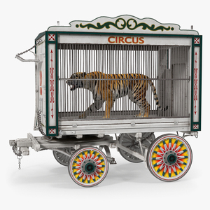 3D Tiger in Circus Wagon