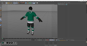 Hockey Equipment Green 3D