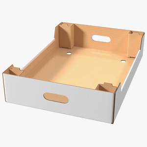 3D model Corrugated Tray Box for Vegetables And Fruits