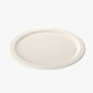 Disposable Paper Plate 3D