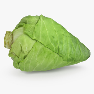 3D Sweetheart Cabbage model