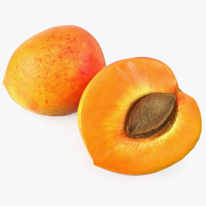 3D model Half of Apricot