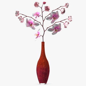 Phalaenopsis Orchid and Glass Vase 3D model