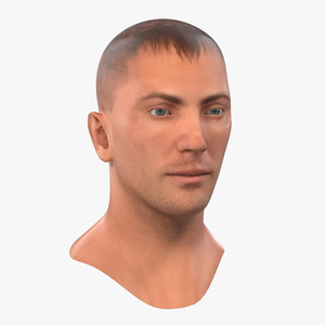 Caucasian Male Head 3D model