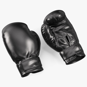 Boxing Training Gloves 3D