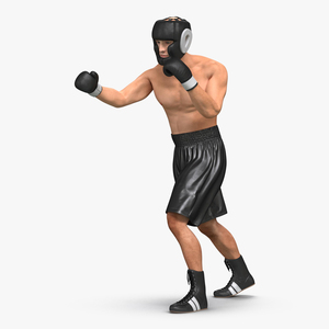 Adult Boxer Man Pose 3 3D