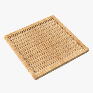 Rattan Panel 3D