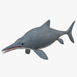 3D Ichthyosaur