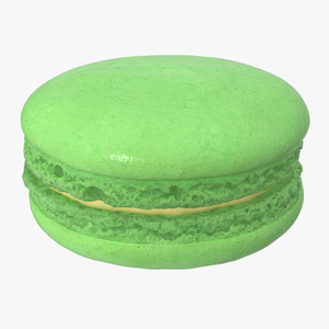 Classic French Macaron 3D