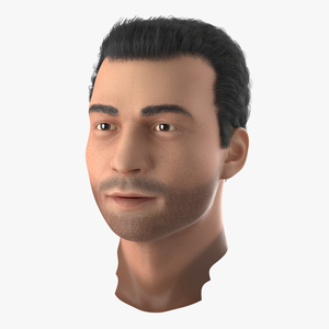 3D Mediterranean Male Head with Hair model