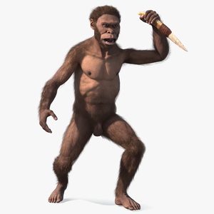 Homo Habilis with Knife in Fighting Pose Fur 3D model