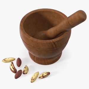 3D Mortar and Pestle Grinding Brazil Nuts model