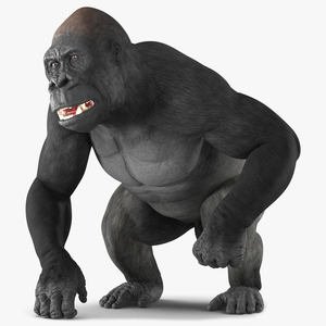 3D Gorilla Animated Rigged model