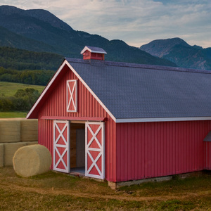 Barn Silo Red Old 3D