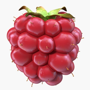 3D model Not Ripe Berry Blackberry