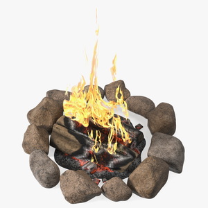 Campfire with Stones Around 3D