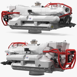 3D NATO Submarine Rescue System model