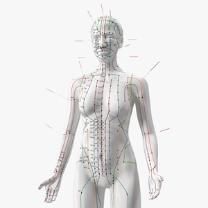 3D model Female Acupuncture Anatomy Chart with Needles