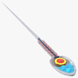 Cross-Sectional Spermotozoa 3D