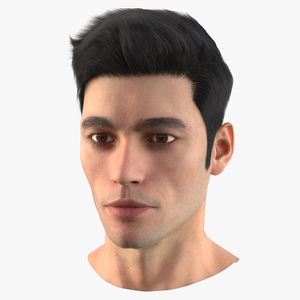 3D Male Head Fur model