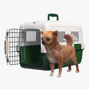 Chihuahua in the Pet Carrier with Fur 3D