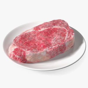 Meat Slice Frozen on Plates 3D