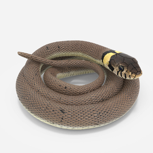 Ringed Snake Coiled 3D model