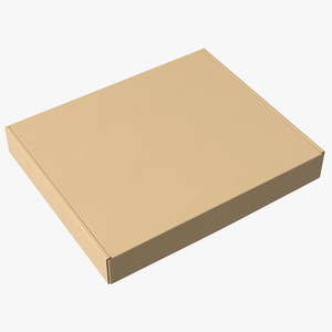 3D model Cardboard Closed Flat Box