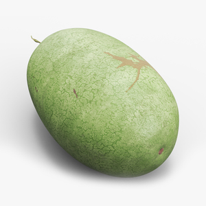 3D Charleston Gray Oblong Watermelon model