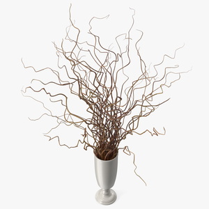 Decorative Dried Brown Curly Willow in White Vase 3D model