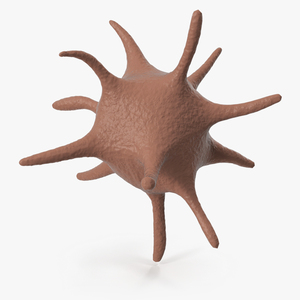 Platelet Blood Cell 3D model