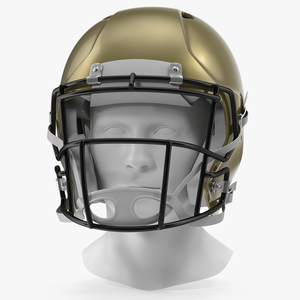 3D Football Helmet on Mannequin Head model