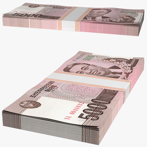 3D model North Korea 5000 Won Banknotes 2008 Pack