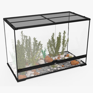 Large Terrarium with Plants Garden 3D model